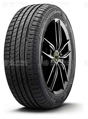 Ikon (Nokian Tyres) Character Eco (Nordman SX3) 195/55 R15 89H